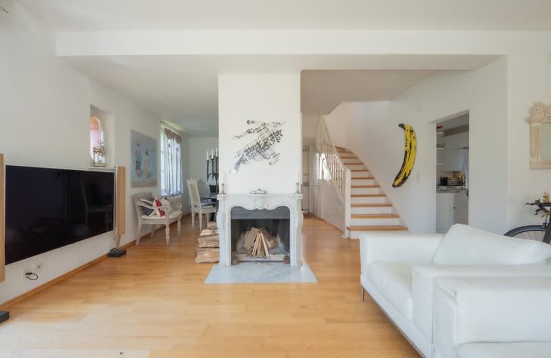 Stylish Basel city villa with garden and converted attic (4)