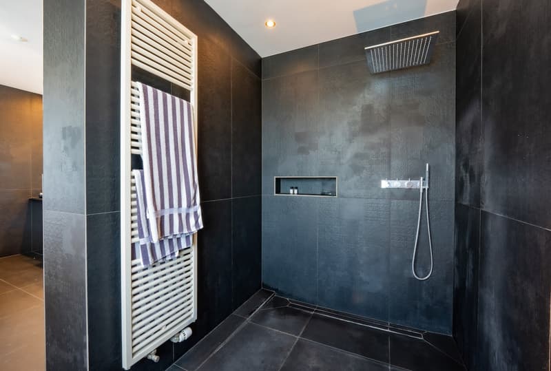 Stylish Basel city villa with garden and converted attic (13)