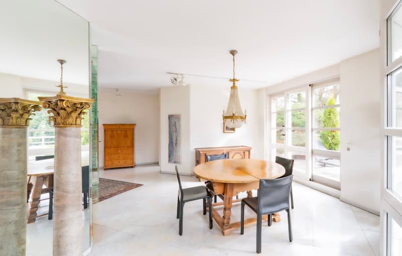 Appartement d'attique exclusif avec terrasses tout autour et vue imprenable sur Bâle (5)