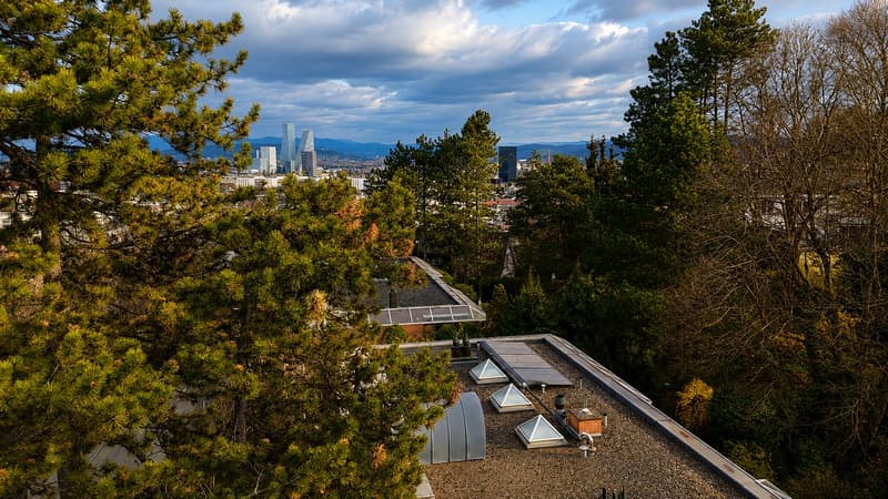 Appartement d'attique exclusif avec terrasses tout autour et vue imprenable sur Bâle (3)