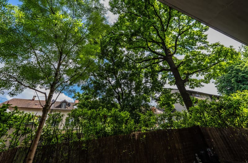 Urbanes Loft mit privatem Garten und 139 m² Nutzfläche (3)