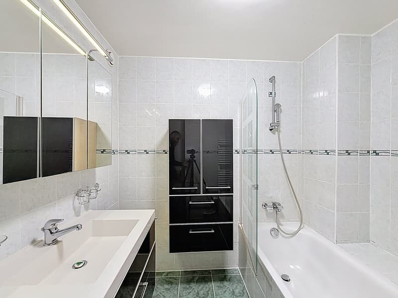 Ecublens, beautiful apartment on the top floor (11)