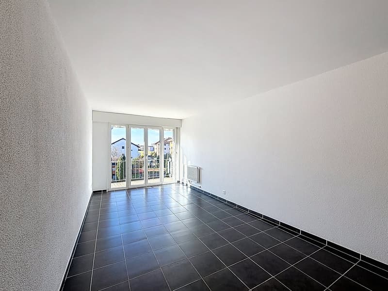 Ecublens, beautiful apartment on the top floor (4)