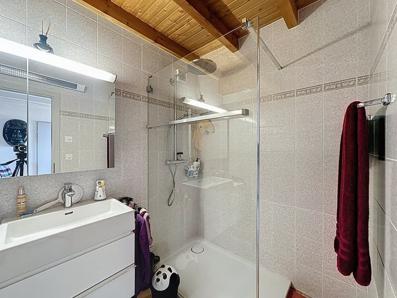 Charmantes Dachwohnung mit 3.5 Zimmern in Savigny (11)