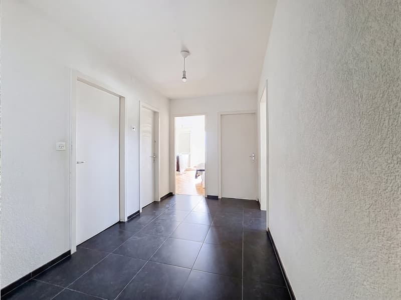 Magnifique appartement de 4.5 pièces avec vue panoramique à Vevey (3)