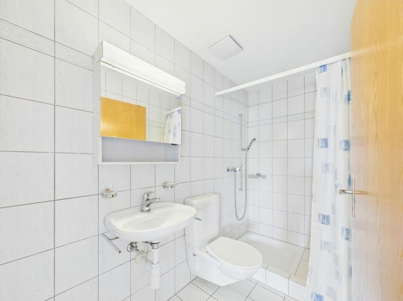 Sonnenparadies mit 180° Bergkino - frisch renovierte 4.5-Zimmer-Terrassenwohnung (16)