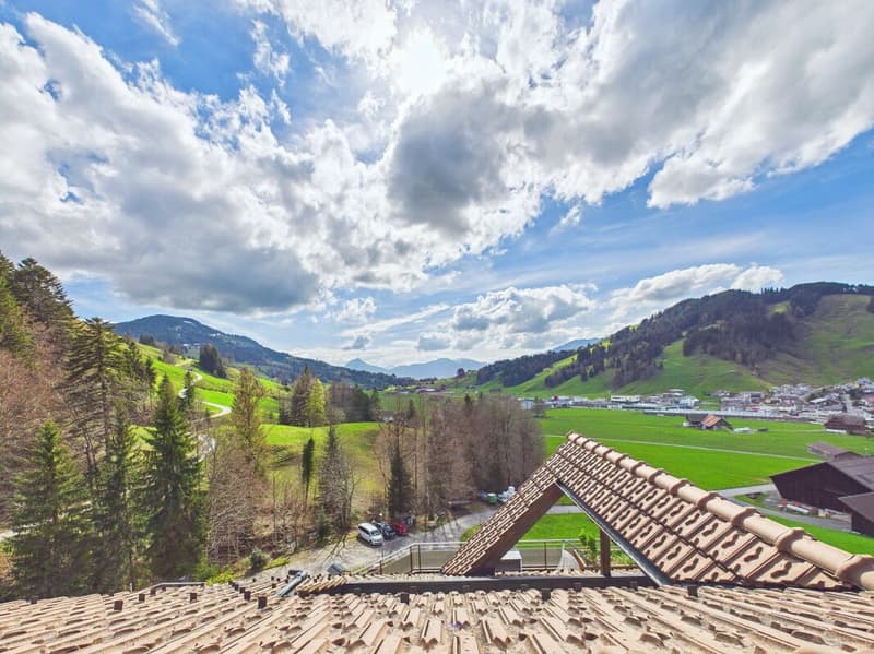 Terrace apartment with 180° mountain views, two bathrooms and lift! (3)
