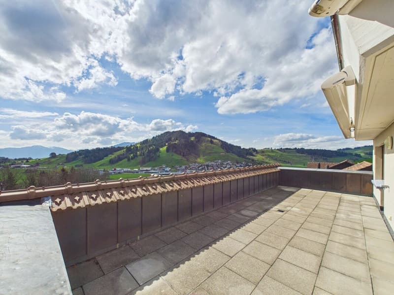 Terrace apartment with 180° mountain views, two bathrooms and lift! (2)