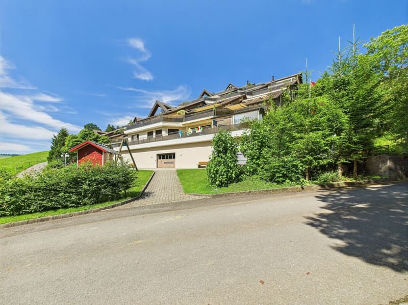 Sonnenparadies mit 180° Bergkino - frisch renovierte 4.5-Zimmer-Terrassenwohnung (23)
