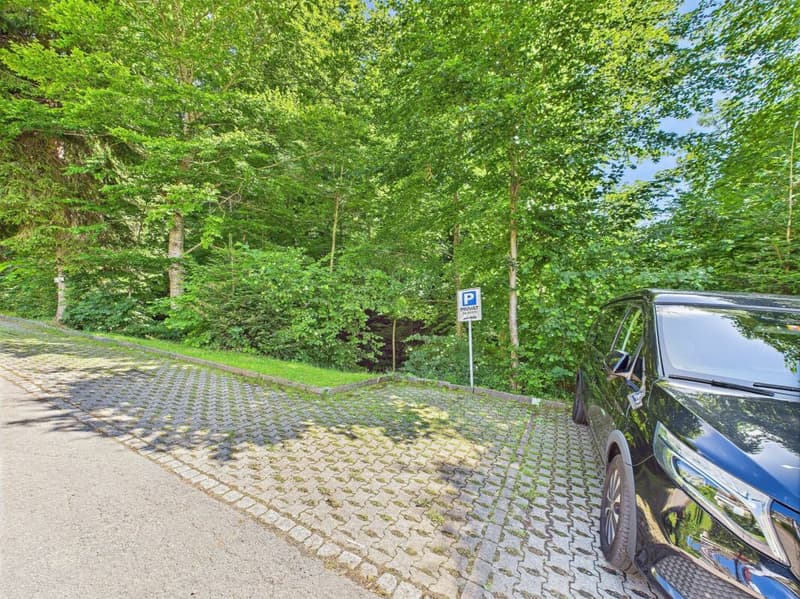 Sonnenparadies mit 180° Bergkino - frisch renovierte 4.5-Zimmer-Terrassenwohnung (22)