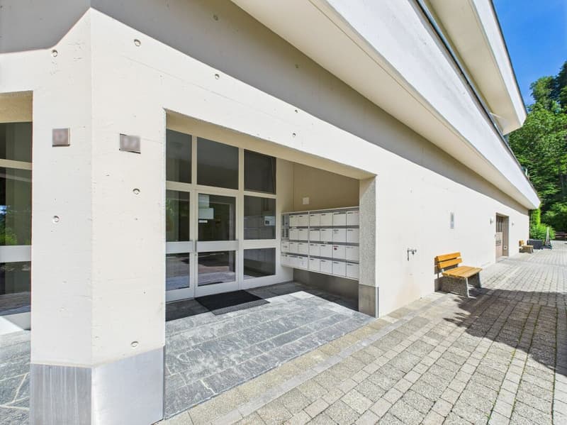 Sonnenparadies mit 180° Bergkino - frisch renovierte 4.5-Zimmer-Terrassenwohnung (19)