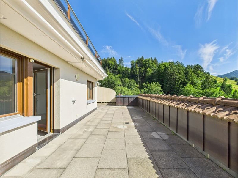 Sonnenparadies mit 180° Bergkino - frisch renovierte 4.5-Zimmer-Terrassenwohnung (1)