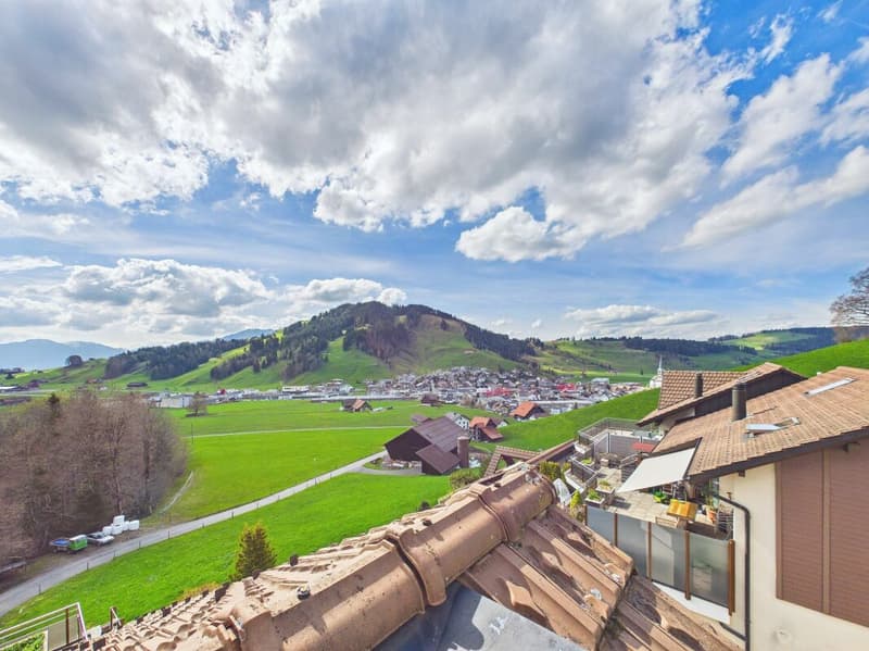 Terrace apartment with 180° mountain views, two bathrooms and lift! (4)