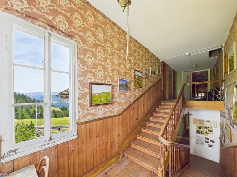 The last free piece of Rigi peak - unbeatable, incomparable, unforgettable (29)