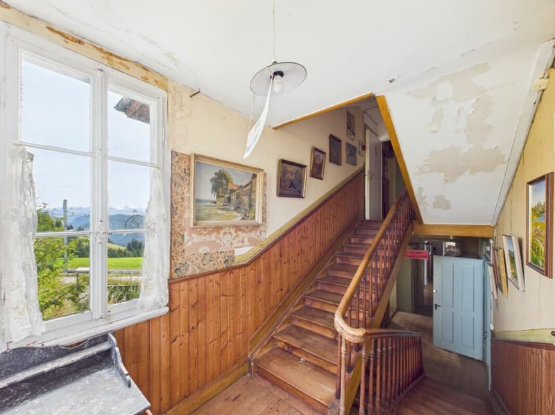 The last free piece of Rigi peak - unbeatable, incomparable, unforgettable (19)