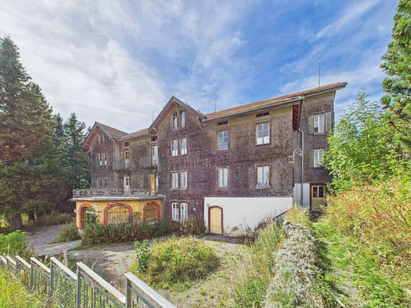 Hôtel Belle-Époque rencontre un terrain à bâtir rare - panorama alpin unique sur la Reine des Montagnes (9)