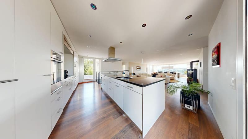 On Top of Wettswil - 252 m² Panorama-Residenz (10)
