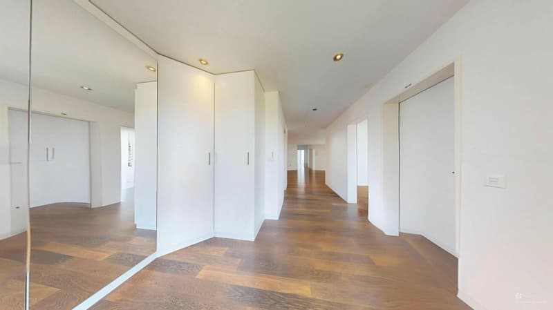 On Top of Wettswil - 252 m² Panorama-Residenz (17)