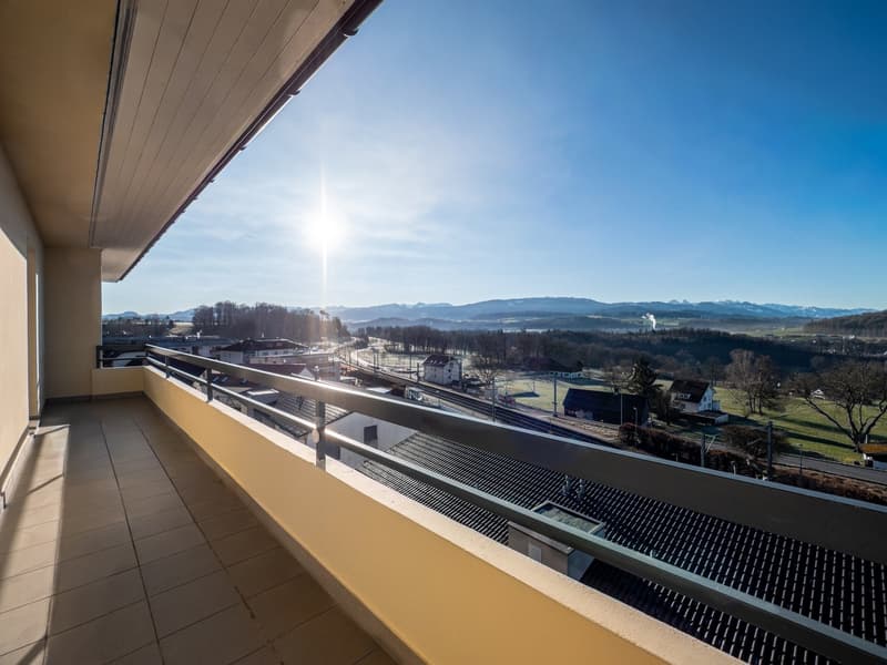 Magnificent 4.5-room apartment with a view of the Préalpes in Villars-sur-Glâne (7)