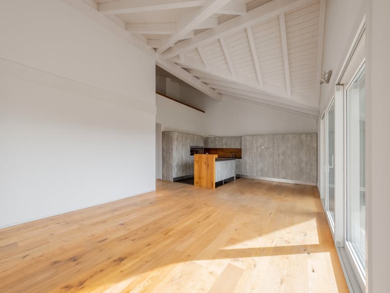 Attic 5.5 rooms with large terrace and storage – 198 m² living space (3)