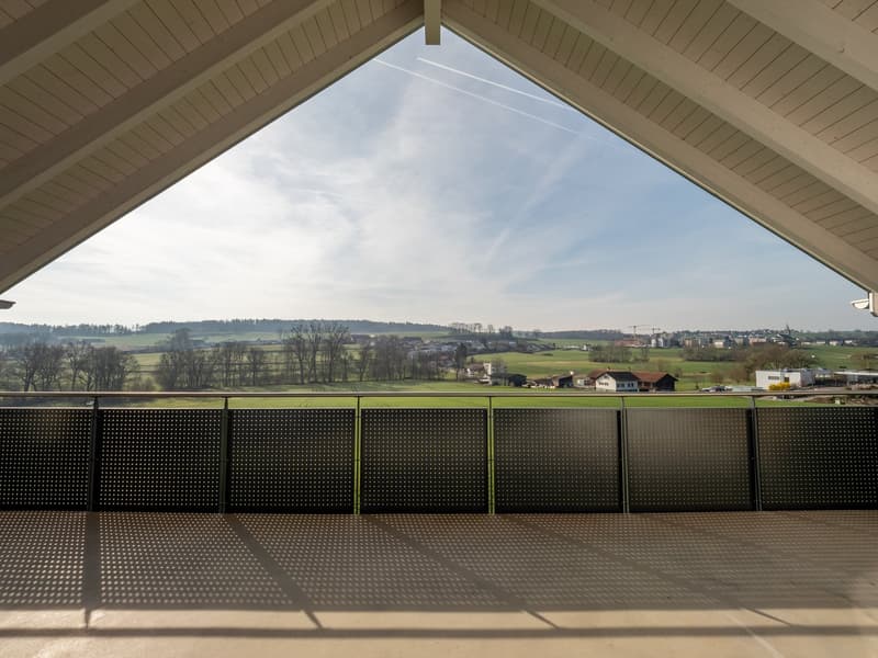 Attic 5.5 rooms with large terrace and storage – 198 m² living space (14)
