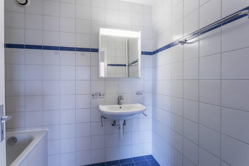 Apartment with 4.5 rooms and view of the Préalpes in Villars-sur-Glâne (5)