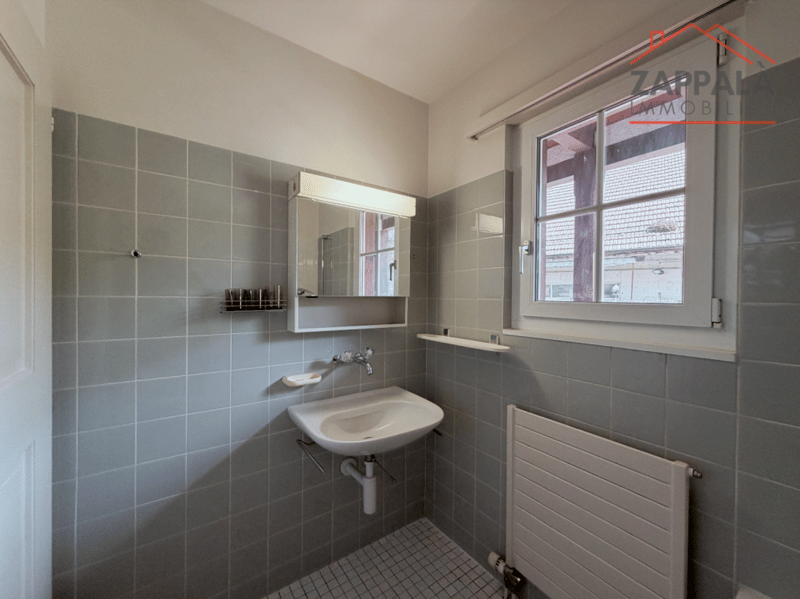 Elegant 4-room ground floor apartment in Schönenbuch (16)