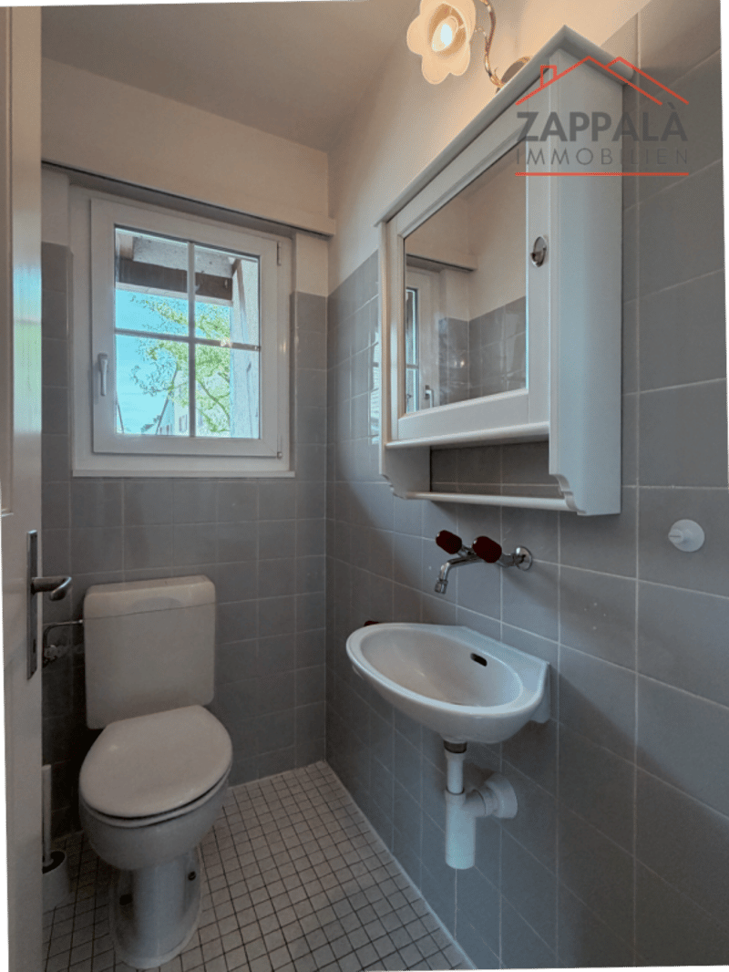 Elegant 4-room ground floor apartment in Schönenbuch (17)