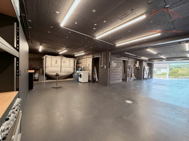 Maison individuelle magnifique et ultra-moderne à Riespach (45)