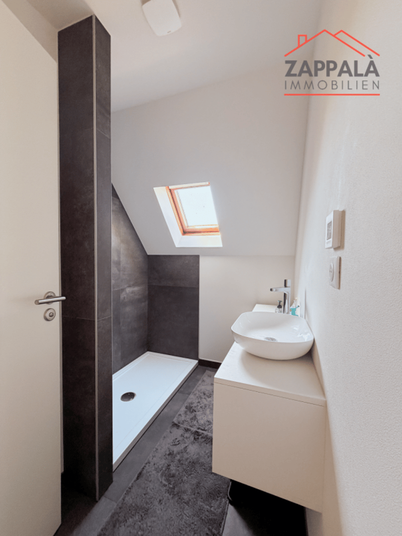 Maison individuelle magnifique et ultra-moderne à Riespach (36)