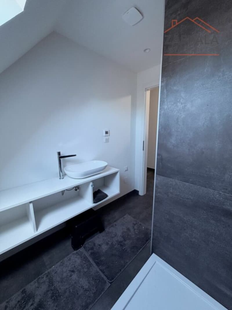 Maison individuelle magnifique et ultra-moderne à Riespach (37)