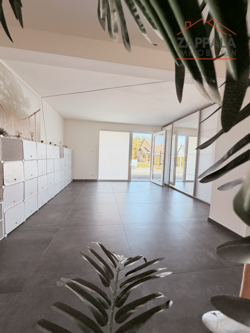Maison individuelle magnifique et ultra-moderne à Riespach (40)