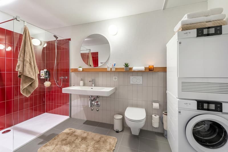 Your brand new, modern apartment in the heart of Oerlikon (6)
