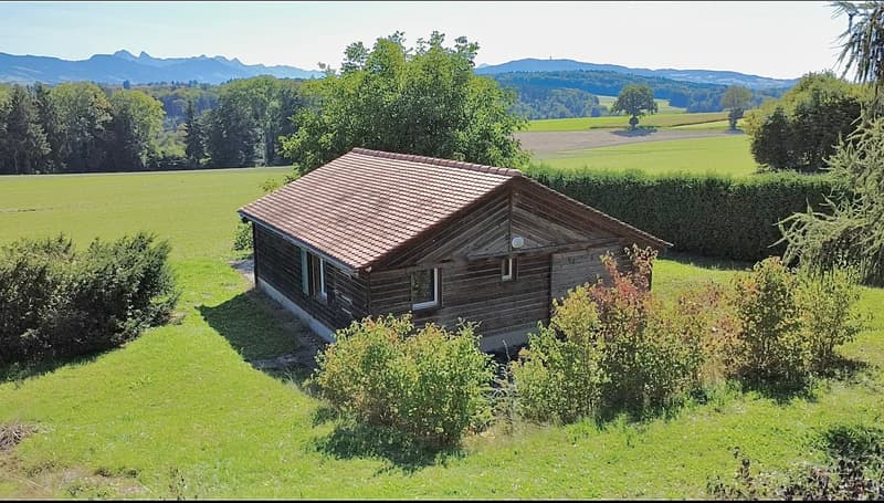 wooden house, surrounded by greenery, view