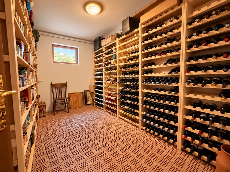 À Luins, Maison de 5.5 pièces entre vignes et vue sur le Léman (18)