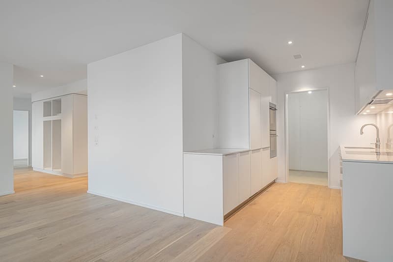 Appartamento di 4.5 locali a Vitznau – vivere con vista sul lago (3)