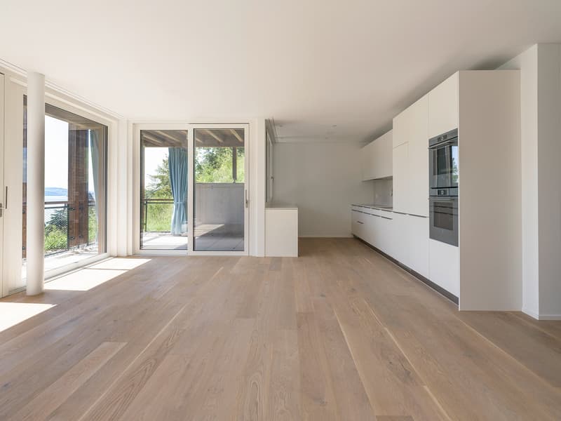 Appartement 4.5 pièces à Vitznau – vivre avec vue sur le lac (2)