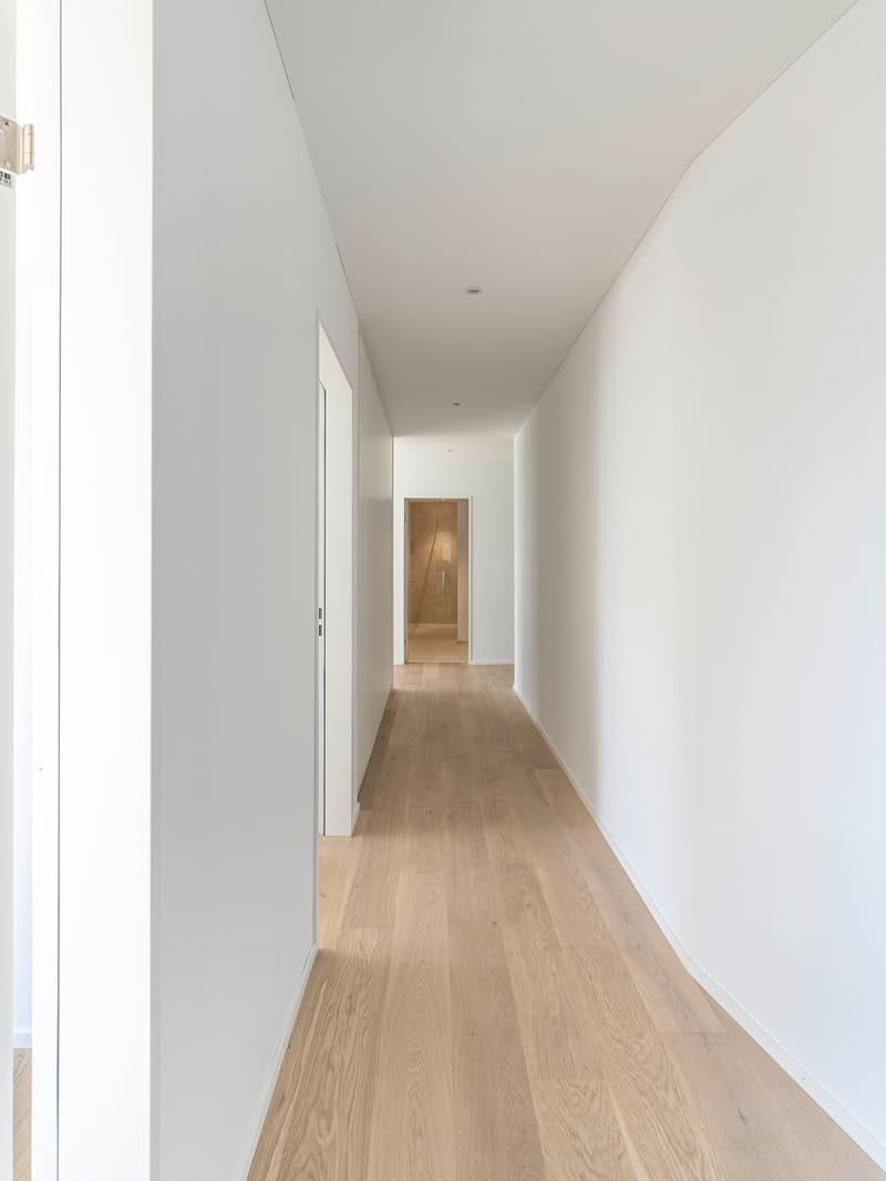 Appartement 4.5 pièces à Vitznau – vivre avec vue sur le lac (4)