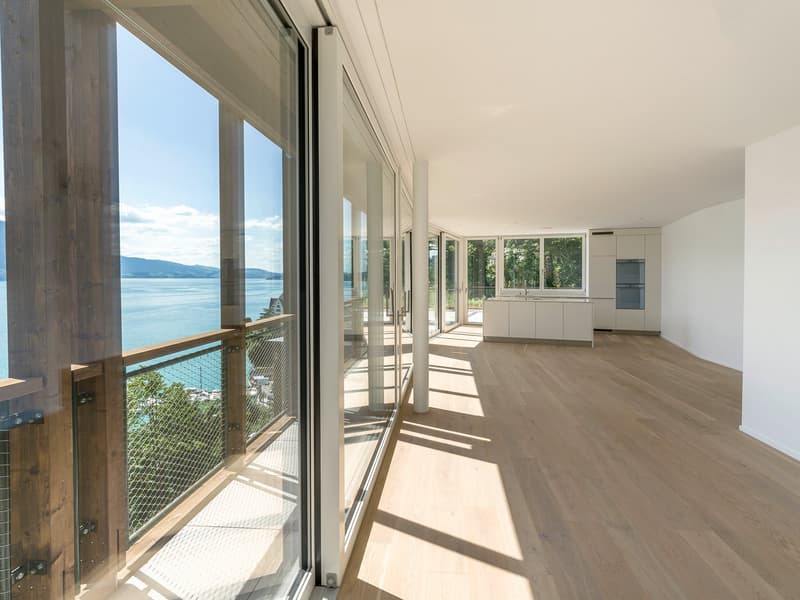 Appartement attique exclusif de 5,5 pièces à Vitznau – vivre avec vue sur le lac (3)
