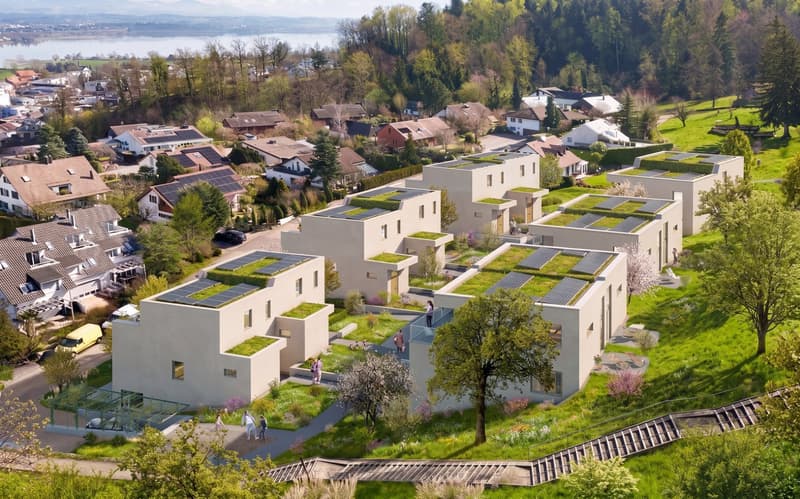 Projet de construction neuve "Schüepwis" – Vivre individuellement près de Greifensee (5)
