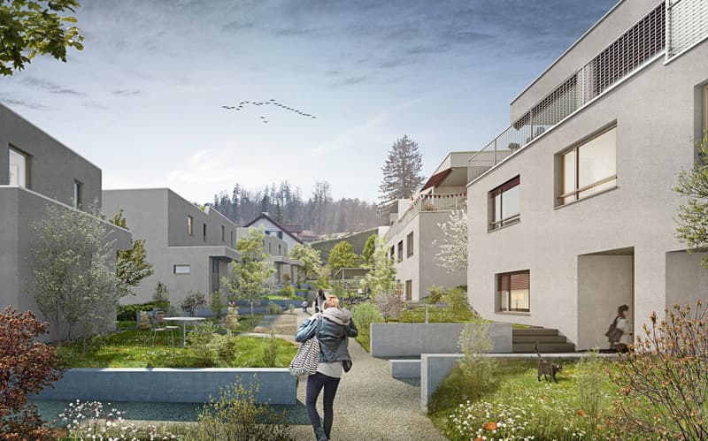 Neubauprojekt «Schüepwis» – Individuell wohnen nahe Greifensee (1)