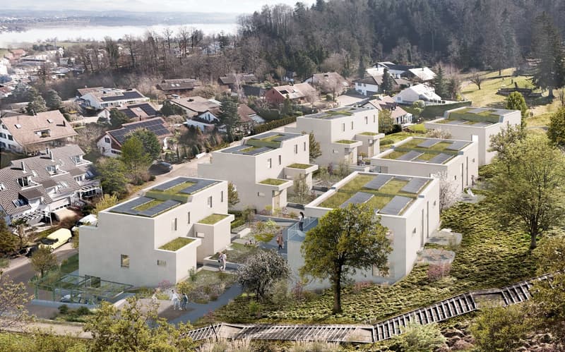 Durabilité. Modernité. Maison. - Votre nouvelle maison avec jardin (6)