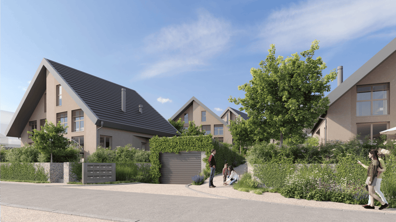 Modern house, gray roofs, concrete driveways, small garden, garage