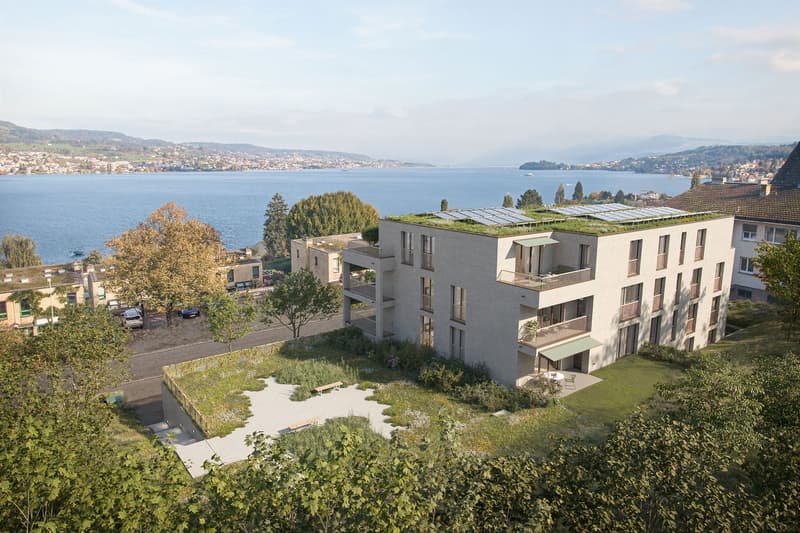 Neubauprojekt Fachstrasse 74 in Oberrieden - Wohnung 1.1 (1)