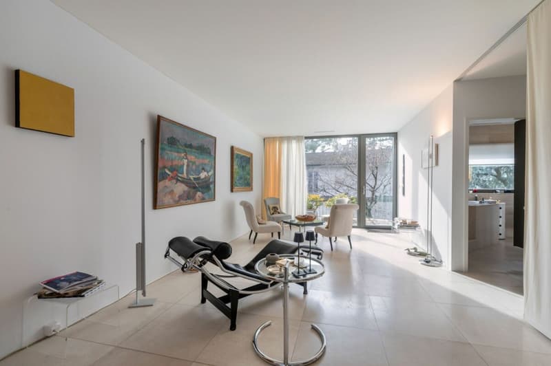 Appartamento attico lussuoso su Bruderholz (7)