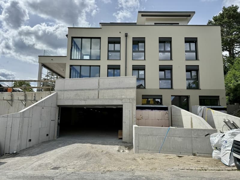 Primo affitto: appartamento giardino maisonette con appartamento separato (1)