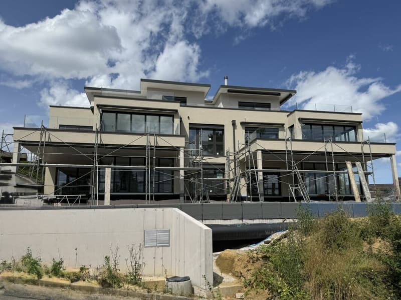 Primo affitto: appartamento giardino maisonette con appartamento separato (13)
