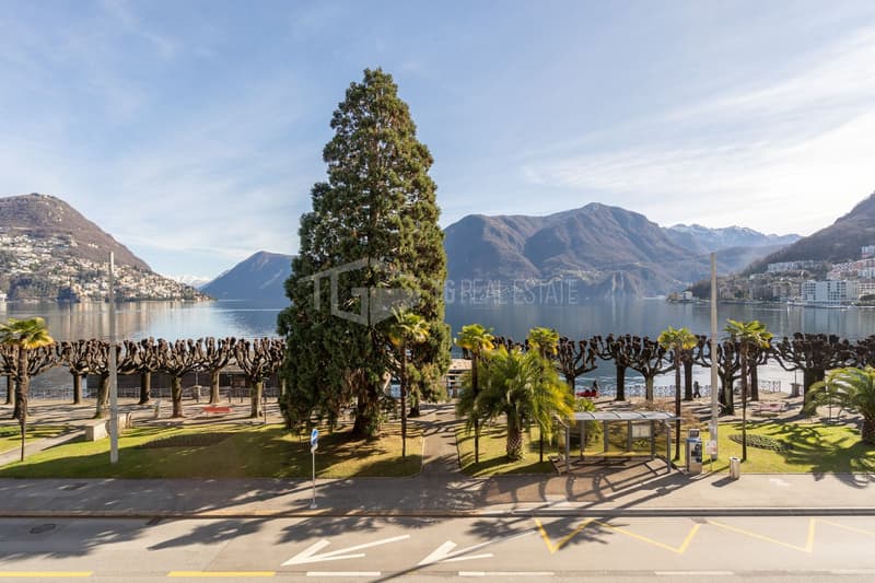 SPLENDIDO APPARTAMENTO CON GRANDE TERRAZZA E VISTA LAGO (15)