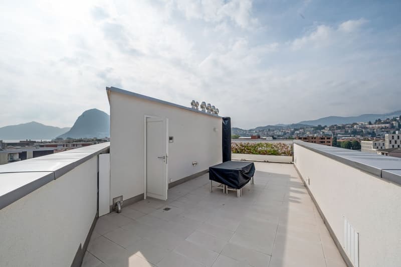 NEUES MÖBLIERTES PENTHOUSE MIT DACHTERRASSE (10)