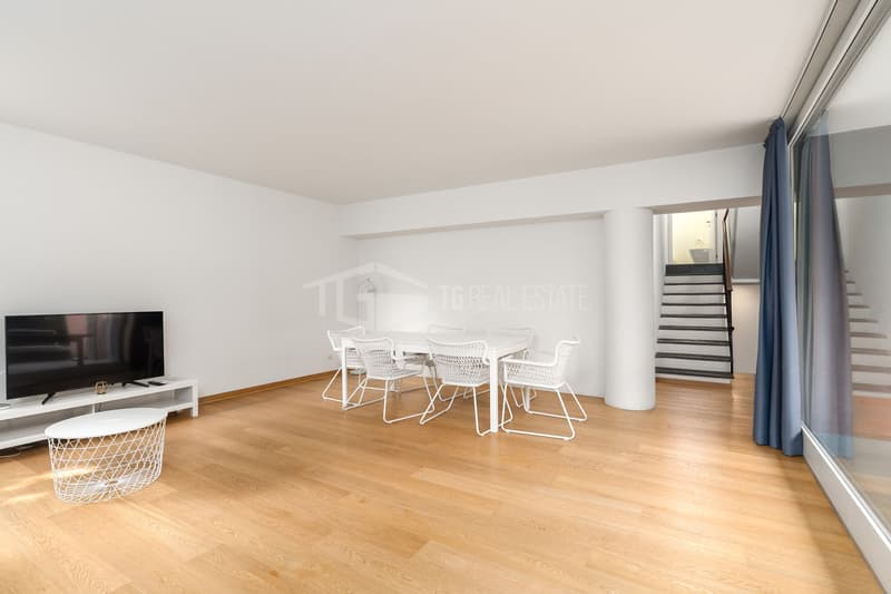 ACCOGLIENTE 2.5 LOCALI CON AMPIA TERRAZZA E GIARDINO (3)